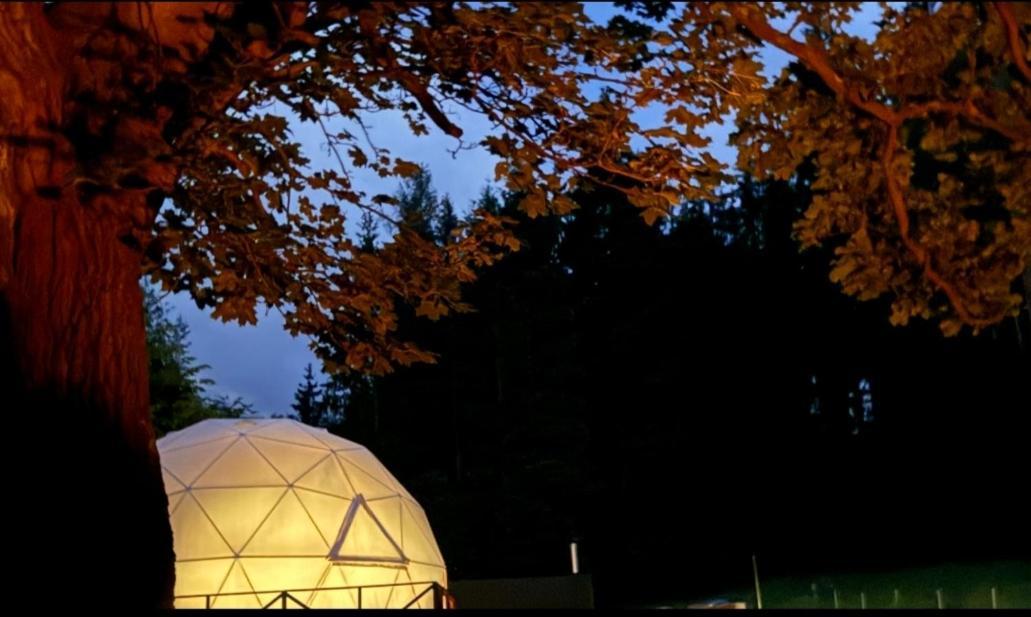 Forrest Glamp Hotell Mieroszow Eksteriør bilde