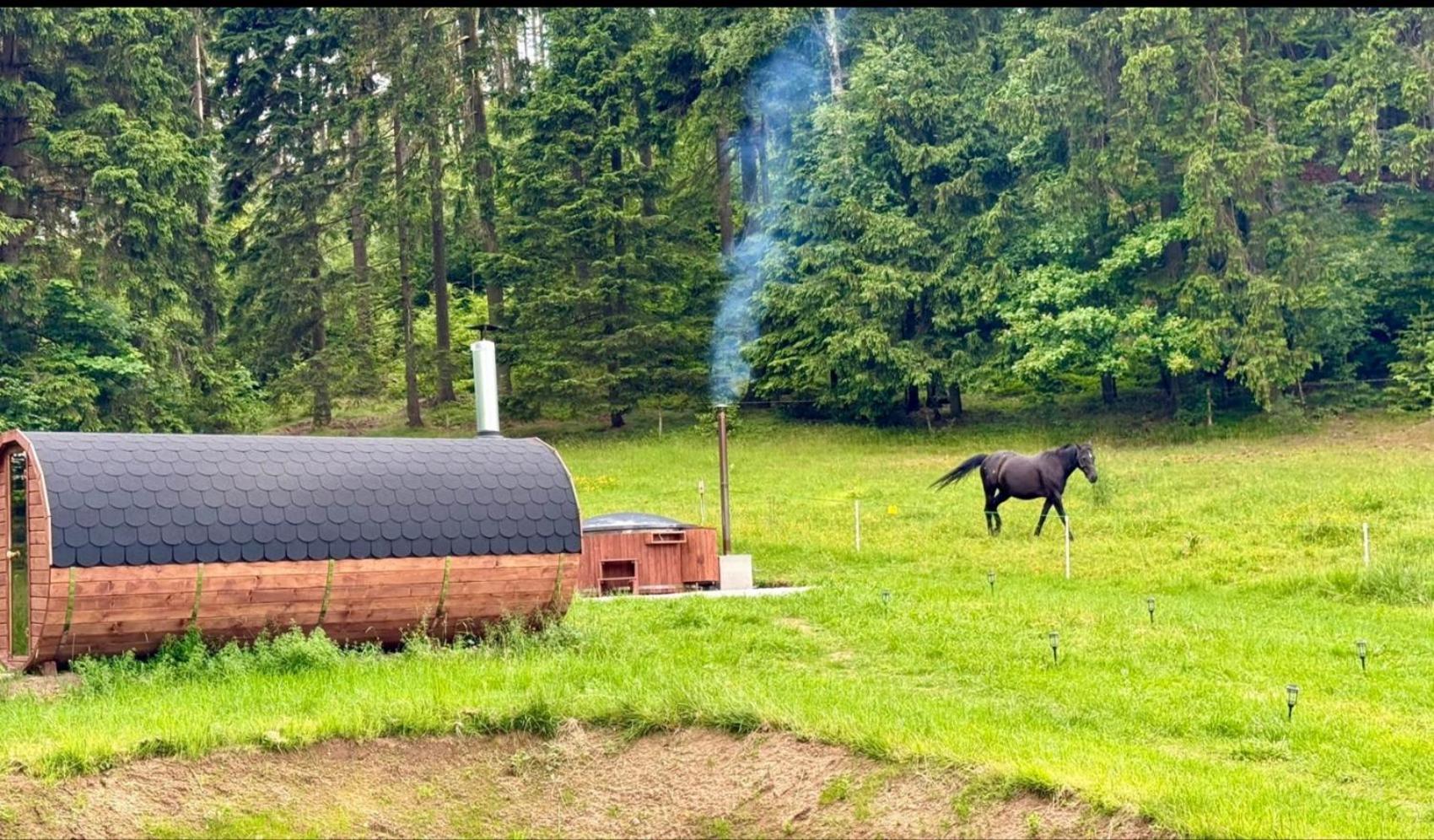 Forrest Glamp Hotell Mieroszow Eksteriør bilde